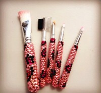 5PCS Professional Makeup Brush Sets