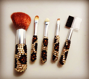 5PCS Professional Makeup Brush Sets